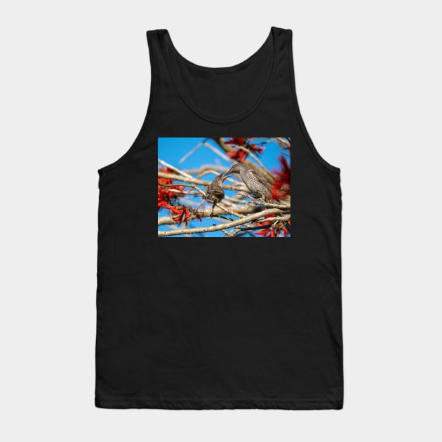 Little Wattle Birds: Feeding Time Tank Top by AndrewGoodall